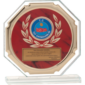 CM-031 B