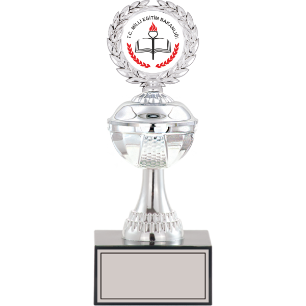 S-067 C